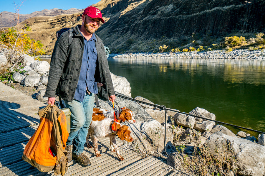 man walking 2 dogs along a dock