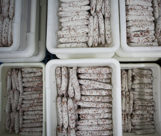 moldy Olympia Provisions salamis drying in bins