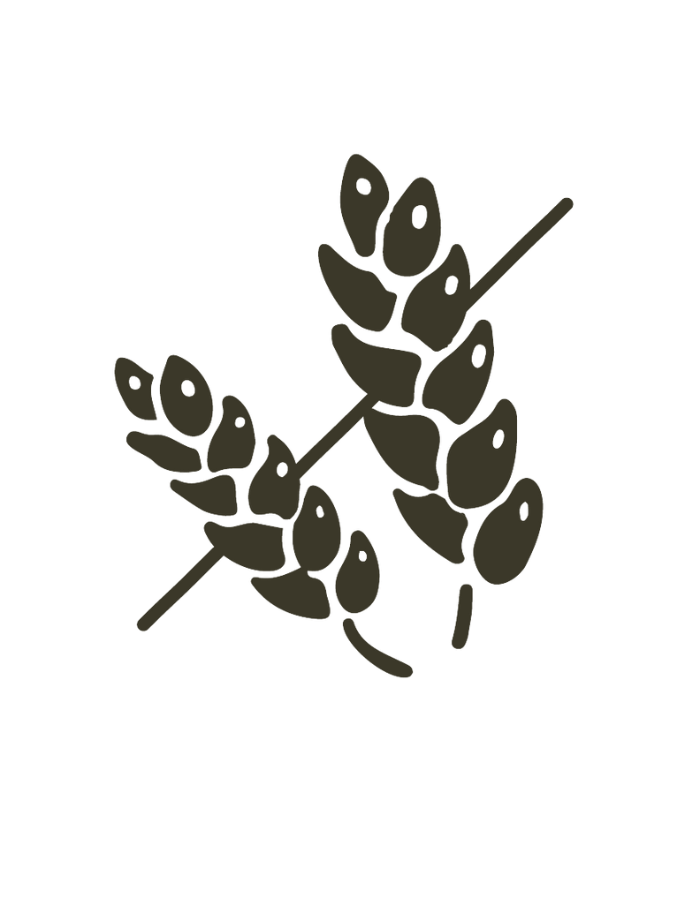 Capicola Artisan Deli Meats Olympia Provisions